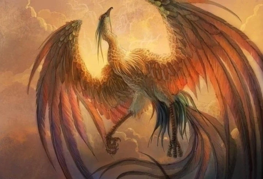 Suzaku's appearance