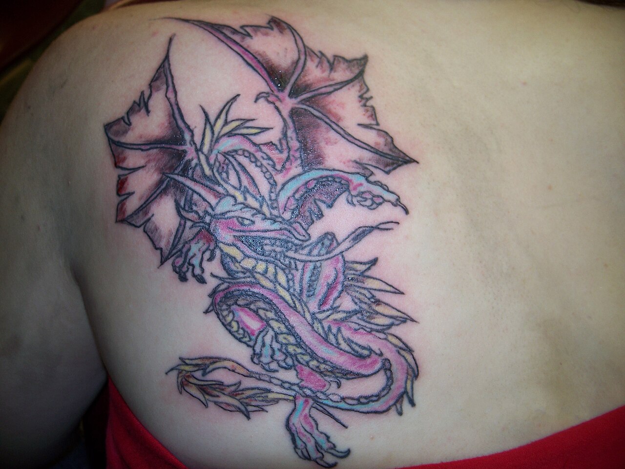 Winged Western style dragon tattoo in colour on a person's shoulder blade
