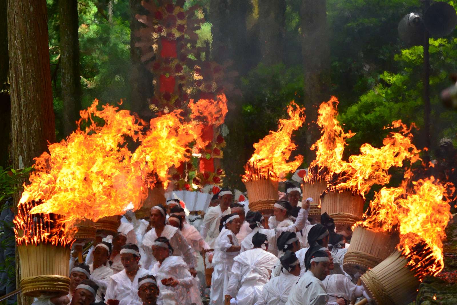 White-robed participants carrying giant burning wicker torches through a cedar forest at a Japanese shrine fire festival