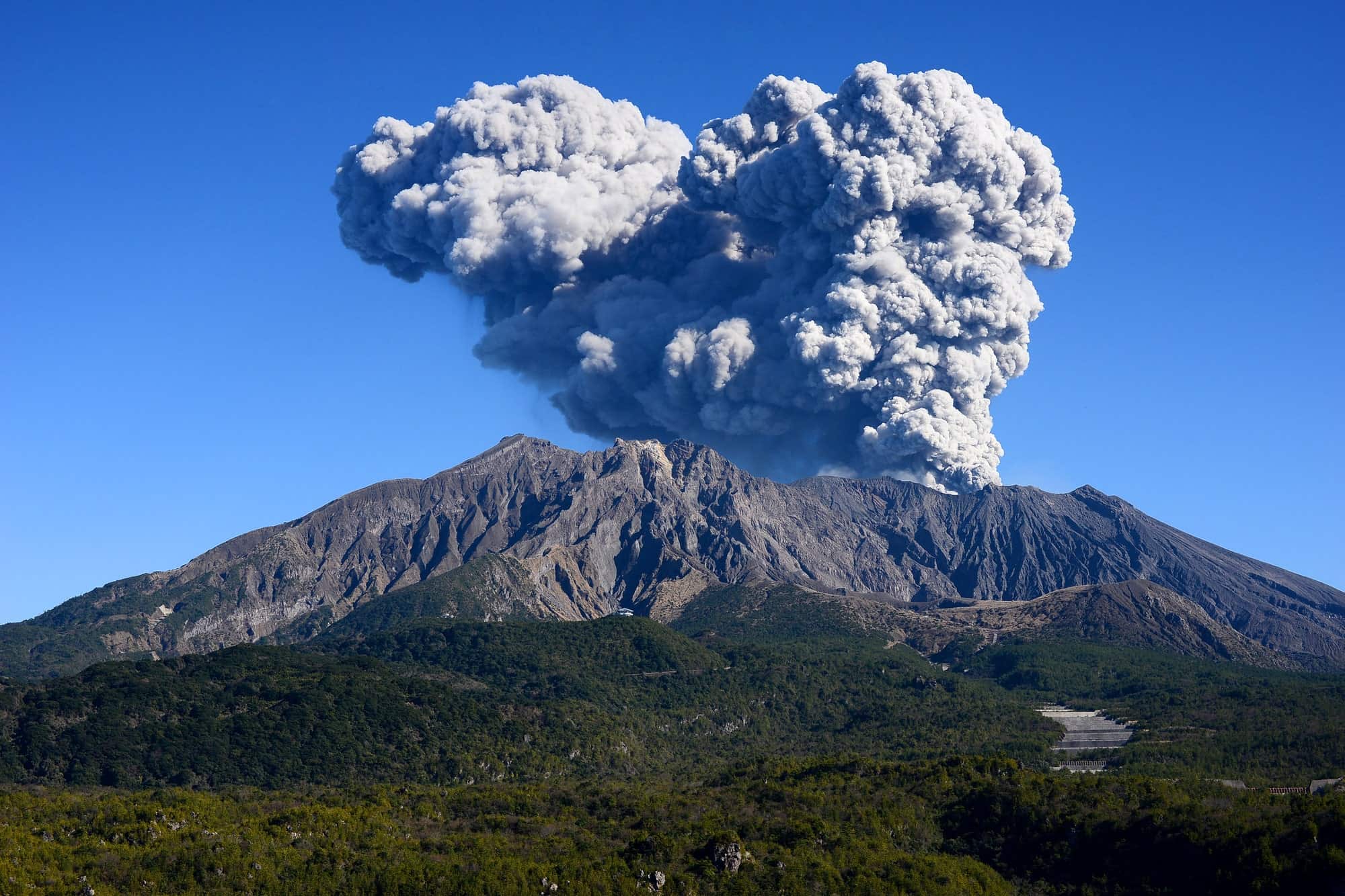 Sakurajima volcano in Kagoshima sending a tall grey ash column into a clear blue sky above forested slopes