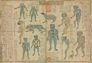 Edo period illustrated chart showing twelve kappa variants, some monkey like and some turtle shelled