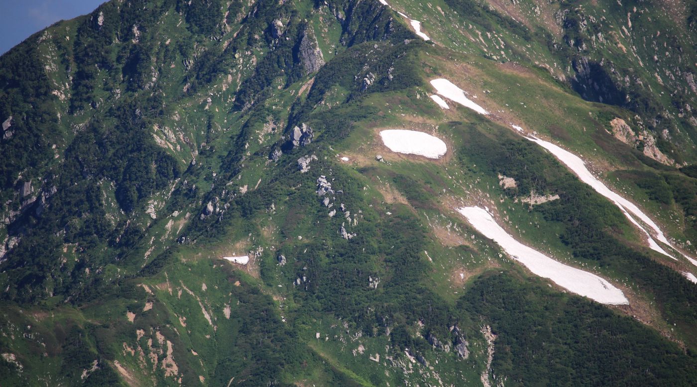 Steep green slopes and lingering snow patches on Mount Nekomata in Toyama Prefecture Japan