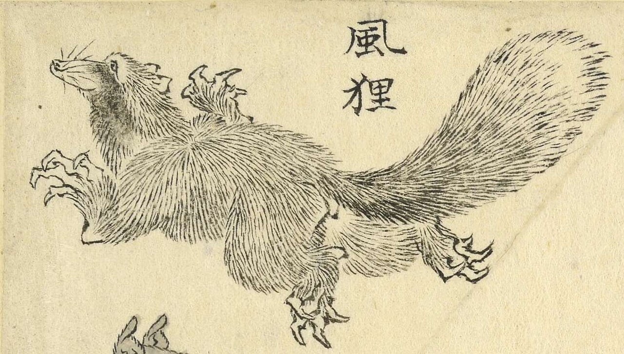 Nineteenth century Japanese ink drawing of a long tailed supernatural tanuki labelled kaze danuki