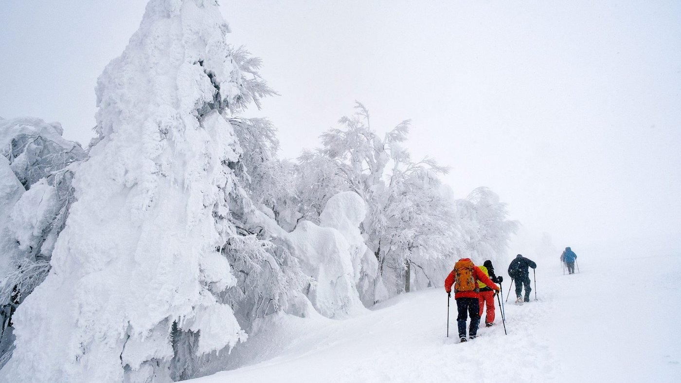 Modern hikers with backpacks climbing past snow covered trees in a whiteout on a Japanese mountain